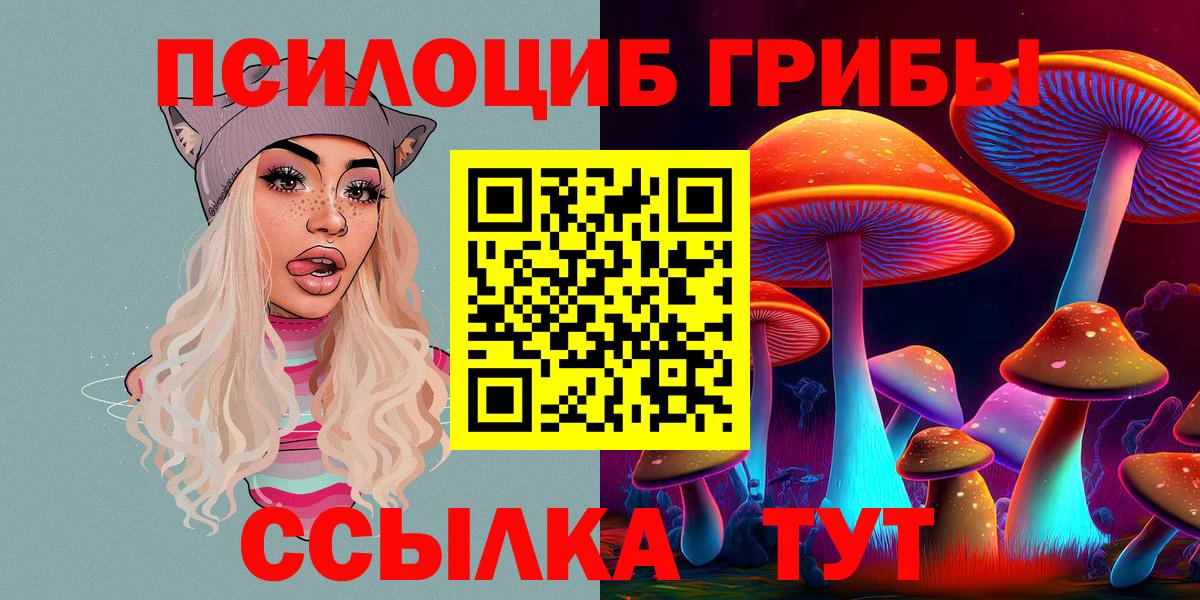 Саранск  Псилоцибиновые грибы прущие грибы  Вход с VPN  Псилоцибиновые грибы прущие грибы 