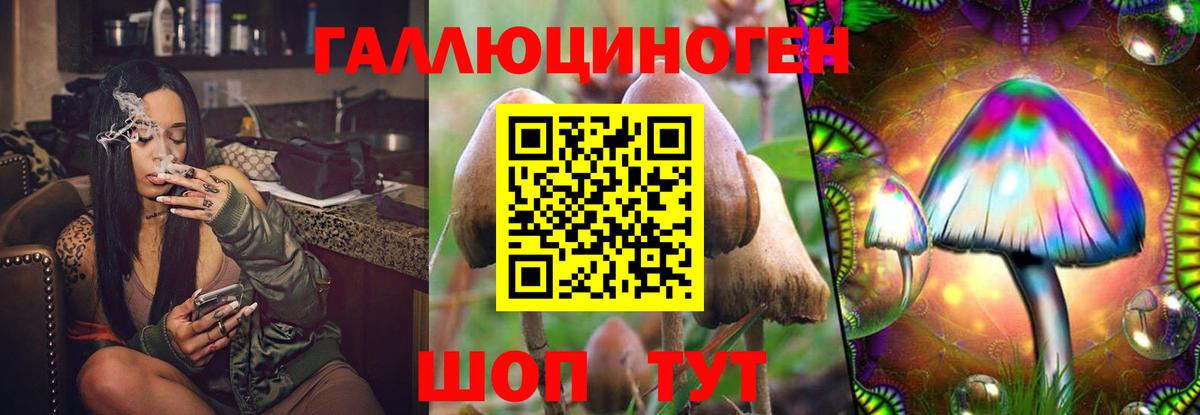 Галлюциногенные грибы мицелий Саранск