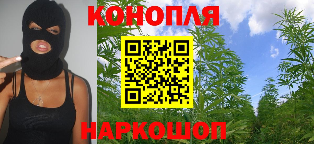 Марихуана сатива Саранск